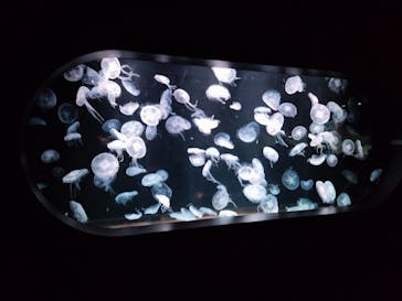 AOAO SAPPOROに投稿された画像（2023/10/21）