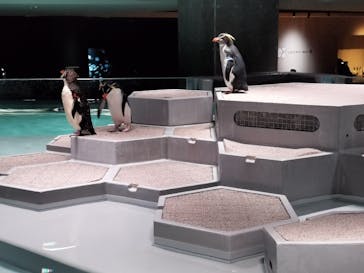 AOAO SAPPOROに投稿された画像（2023/10/21）