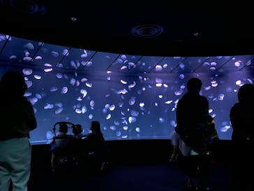 サンシャイン水族館に投稿された画像（2023/10/21）