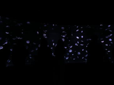 サンシャイン水族館に投稿された画像（2023/10/21）