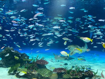 サンシャイン水族館に投稿された画像（2023/10/21）