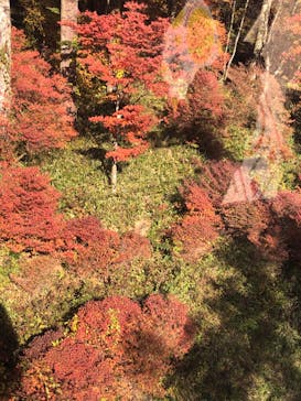 マウントジーンズ那須に投稿された画像（2023/10/21）