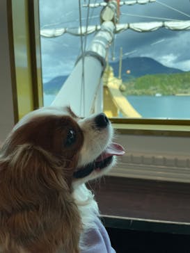 箱根海賊船に投稿された画像（2023/10/21）