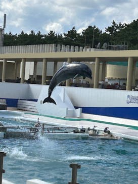 鴨川シーワールドに投稿された画像（2023/10/21）