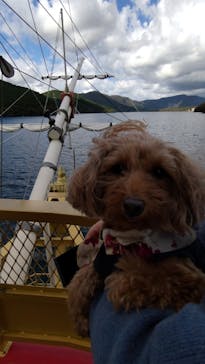 箱根海賊船に投稿された画像（2023/10/21）