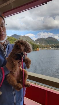 箱根海賊船に投稿された画像（2023/10/21）