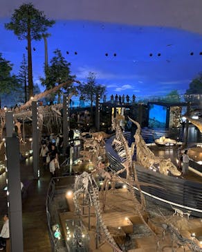 福井県立恐竜博物館に投稿された画像（2023/10/21）