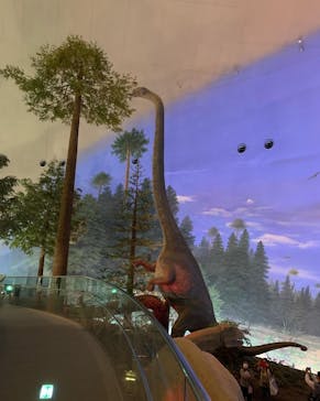 福井県立恐竜博物館に投稿された画像（2023/10/21）