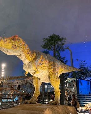 福井県立恐竜博物館に投稿された画像（2023/10/21）