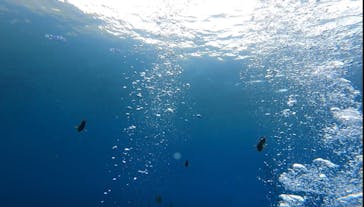 Okinawa Diving sun's（オキナワダイビング　サンズ）に投稿された画像（2023/10/21）