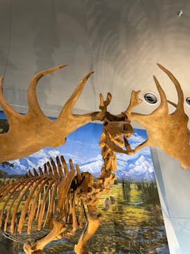 福井県立恐竜博物館に投稿された画像（2023/10/21）