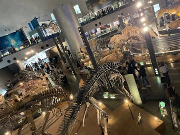 福井県立恐竜博物館に投稿された画像（2023/10/21）