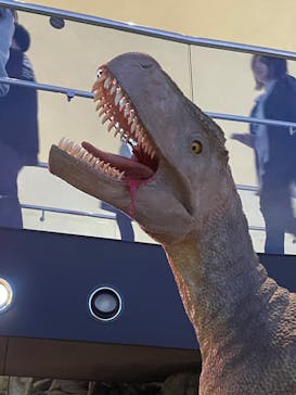 福井県立恐竜博物館に投稿された画像（2023/10/21）