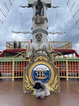 箱根海賊船に投稿された画像（2023/10/21）