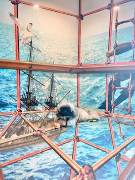 箱根海賊船に投稿された画像（2023/10/21）