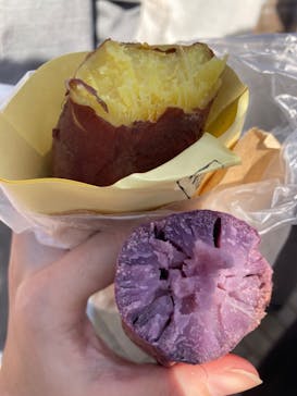 横浜おいも万博に投稿された画像（2023/10/21）