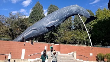 国立科学博物館に投稿された画像（2023/10/21）