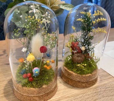 苔むすびに投稿された画像（2023/10/21）