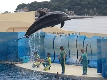 新江ノ島水族館に投稿された画像（2023/10/21）