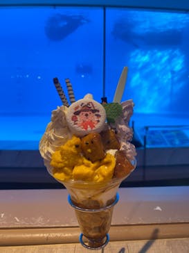 マリンワールド海の中道に投稿された画像（2023/10/21）