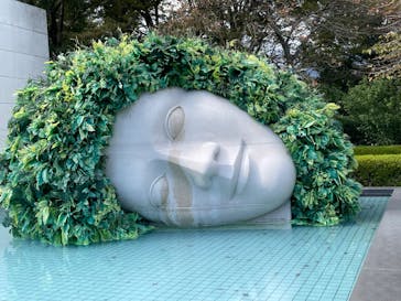 彫刻の森美術館に投稿された画像（2023/10/21）