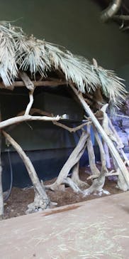 カワスイ 川崎⽔族館に投稿された画像（2023/10/21）