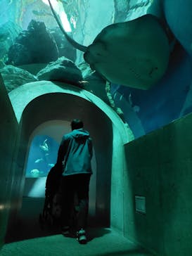 大分マリーンパレス水族館 「うみたまご」に投稿された画像（2023/10/21）