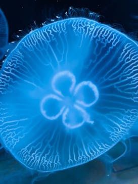 AOAO SAPPOROに投稿された画像（2023/10/21）