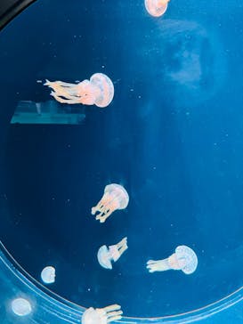 AOAO SAPPOROに投稿された画像（2023/10/21）