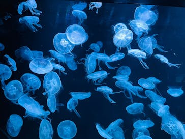 AOAO SAPPOROに投稿された画像（2023/10/21）