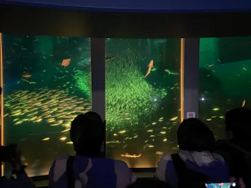 横浜・八景島シーパラダイスに投稿された画像（2023/10/21）