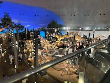 福井県立恐竜博物館に投稿された画像（2023/10/21）