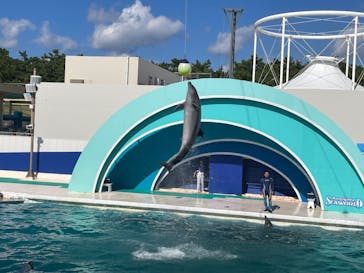 鴨川シーワールドに投稿された画像（2023/10/21）