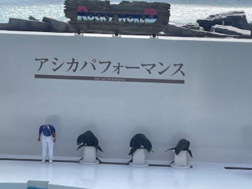 鴨川シーワールドに投稿された画像（2023/10/21）