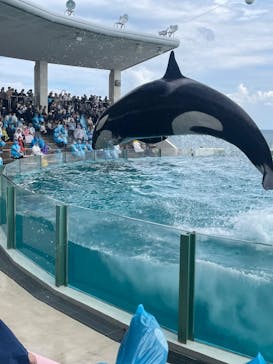 鴨川シーワールドに投稿された画像（2023/10/21）