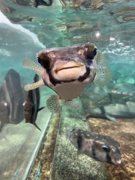 鴨川シーワールドに投稿された画像（2023/10/21）