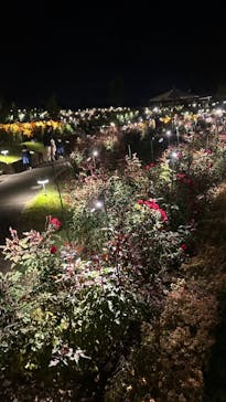 いばらきフラワーパークに投稿された画像（2023/10/21）