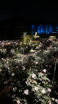 いばらきフラワーパークに投稿された画像（2023/10/21）