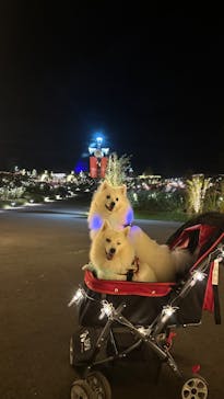 いばらきフラワーパークに投稿された画像（2023/10/21）