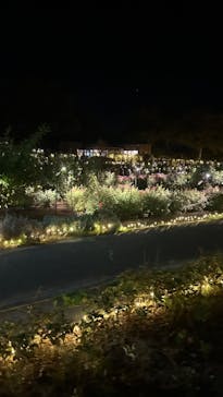 いばらきフラワーパークに投稿された画像（2023/10/21）