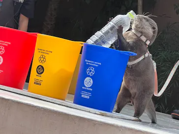 マクセル アクアパーク品川に投稿された画像（2023/10/21）