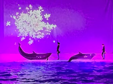 アクアワールド茨城県大洗水族館に投稿された画像（2023/10/21）