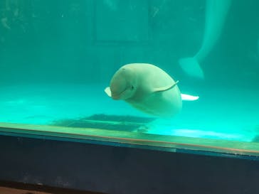 鴨川シーワールドに投稿された画像（2023/10/21）