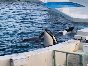 鴨川シーワールドに投稿された画像（2023/10/21）