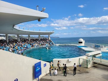 鴨川シーワールドに投稿された画像（2023/10/21）