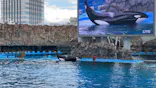 名古屋港水族館に投稿された画像（2023/10/22）