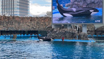 名古屋港水族館に投稿された画像（2023/10/21）