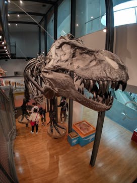 福井県立恐竜博物館に投稿された画像（2023/10/22）