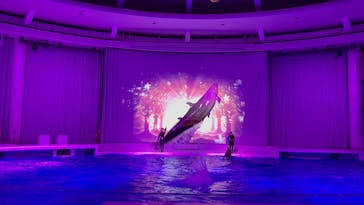 アクアワールド茨城県大洗水族館に投稿された画像（2023/10/22）