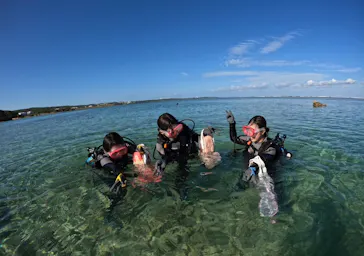 武藤潜水に投稿された画像（2023/10/22）